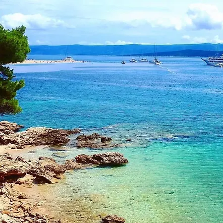 Konukevi Blue Frog 3*