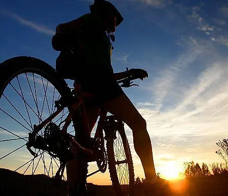 Konukevi Blue Frog 3*