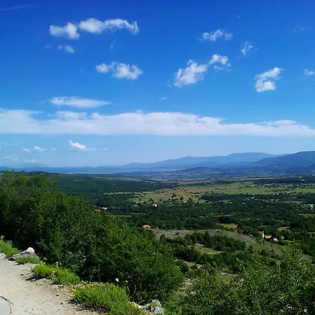 Konukevi Blue Frog 3*