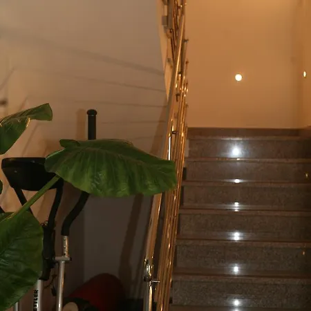 Konukevi Blue Frog Hrvace