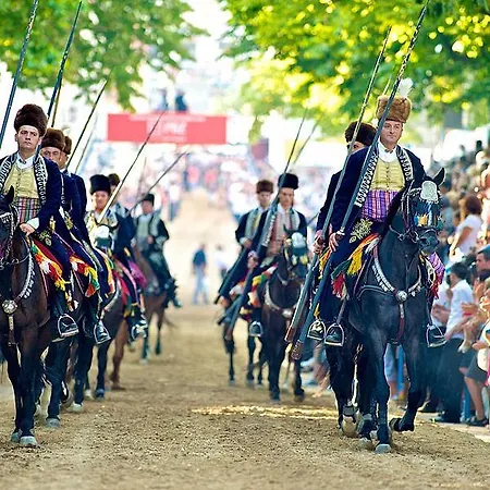 Blue Frog Konukevi 3*