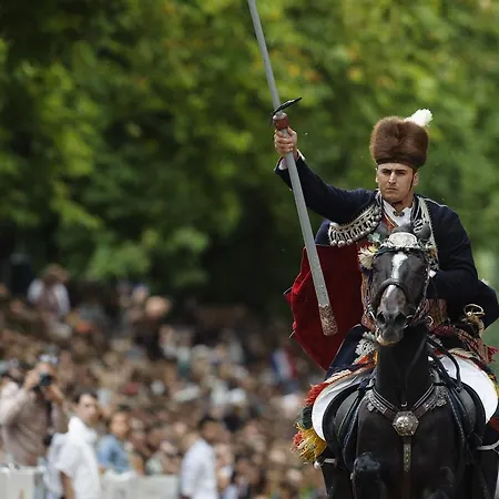 Konukevi Blue Frog Hrvace