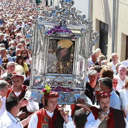 بيت ضيافة Blue Frog 3*