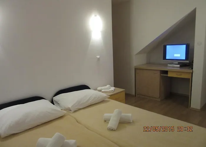 Blue Frog ゲストハウス 3*