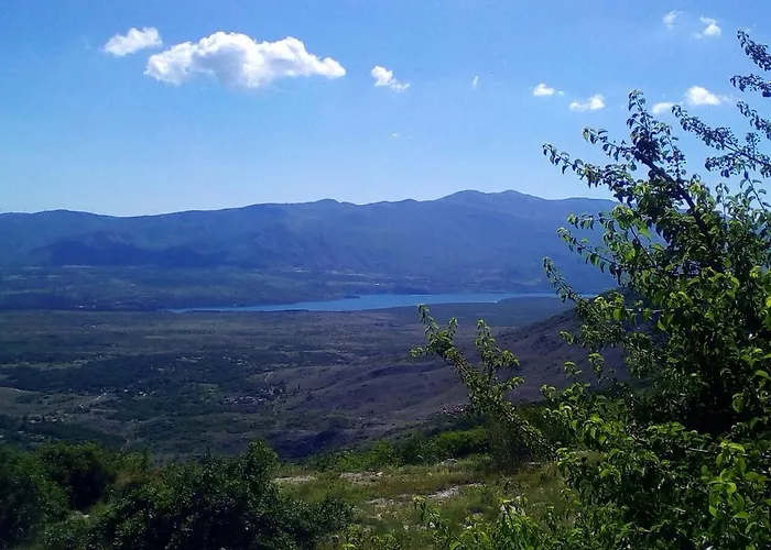 Blue Frog ゲストハウス