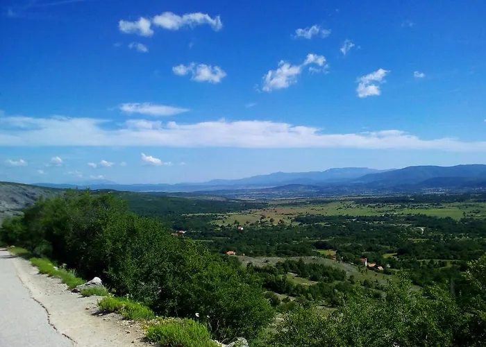 ゲストハウス Blue Frog 3*