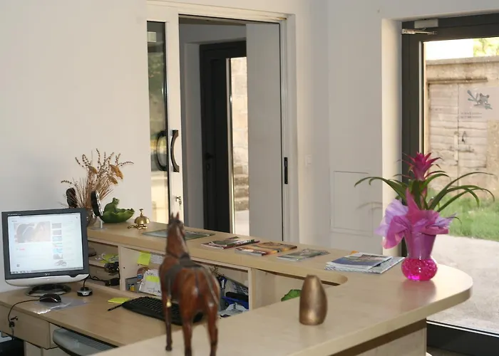 ゲストハウス Blue Frog 3*